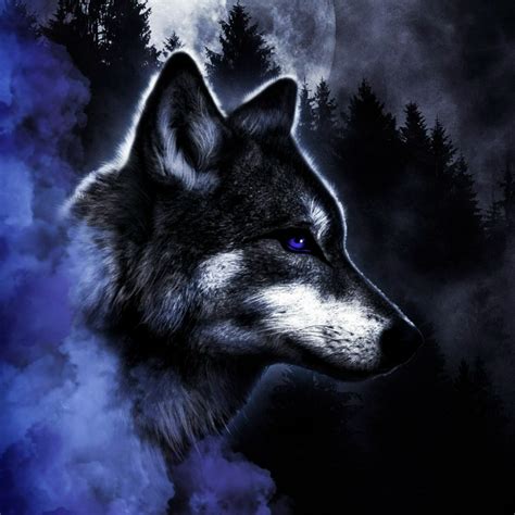 wolf dp|wolf profile pictures.